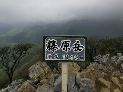 藤原岳 3月末から4月中旬 登山仲間 相乗りのマッチングサービスyamarii ヤマリー